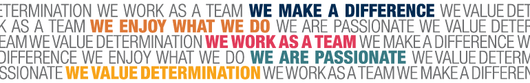 Michael Page values